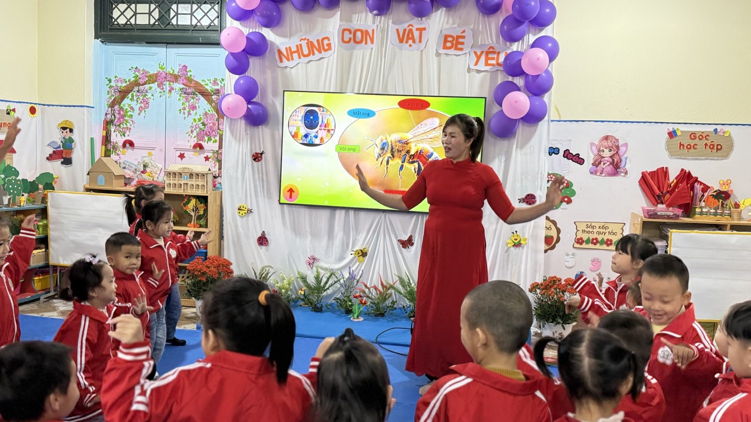 bffe2d1f70a3fffda6b231